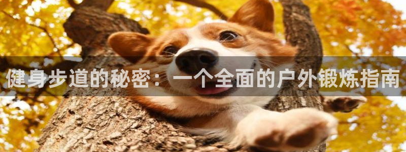 国际龙8唯一登陆