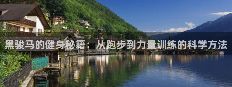 龙8国际手机版注册