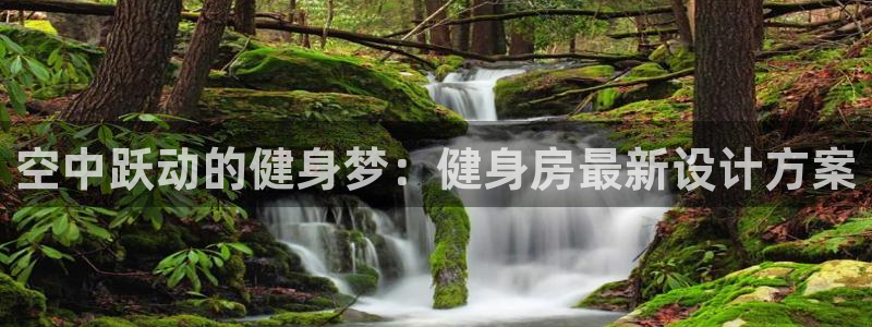 龙8国际app下载手机版