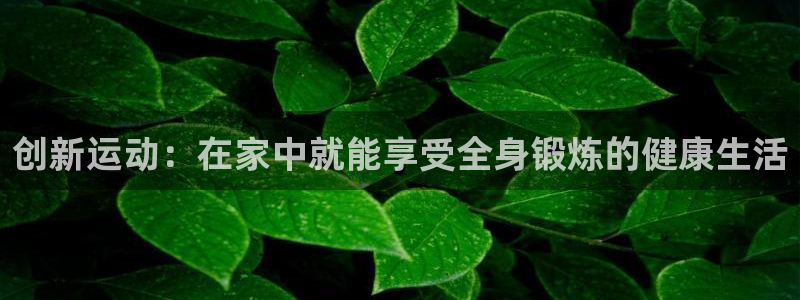 龙八国际下载官网平台