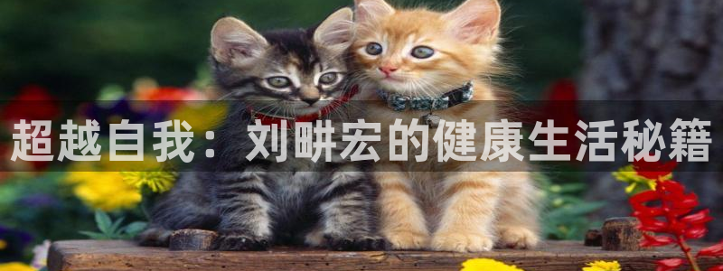 龙8国际app下载安装