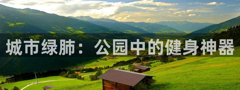 龙8老虎机手机版