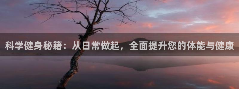 龙8国际官网手机客户端