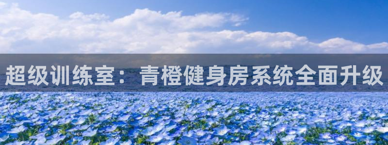 龙8国际头号玩家下载