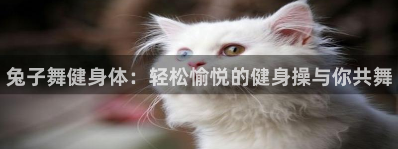 龙8国际老虎机娱乐