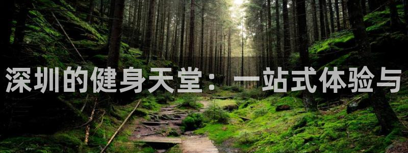 龙8全新客户端安卓版