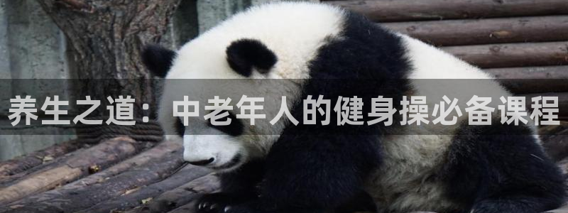 龙8国际官方下载