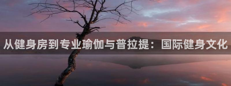 龙八国际娱乐网页多少