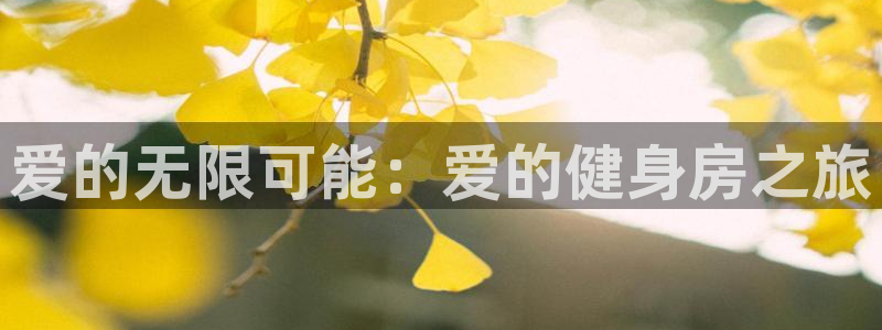 龙八国际娱乐老板是谁