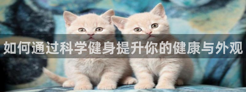 龙8国际手机游戏官网版