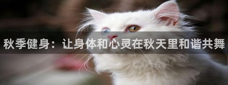 龙8国际电子游戏