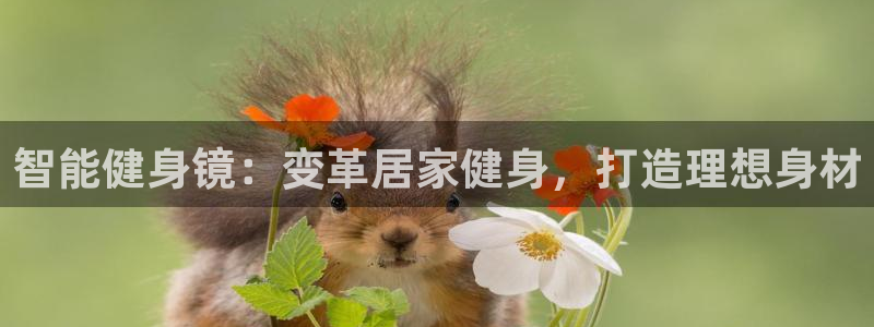 龙8国际唯一登录地址