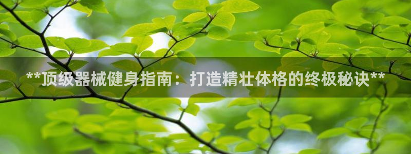 龙八国际官方网站app登录