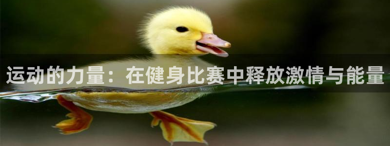 龙8国际app下载手机版