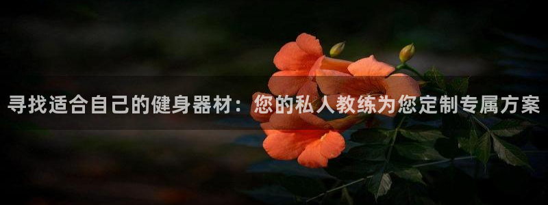 龙8国际老虎机官网