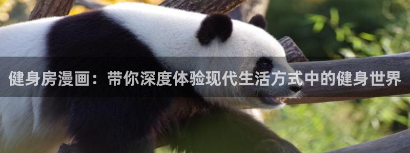 龙8国际官方网手机版下载安装