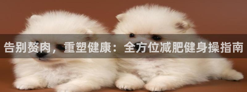 龙8国际怎么下载