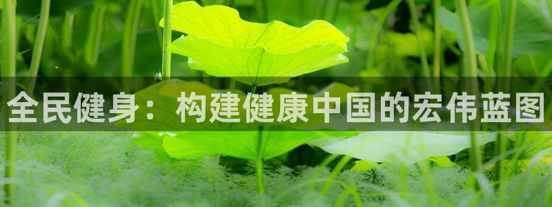 龙8国际游戏公司官网