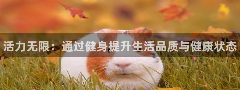 龙8游戏官方网站z